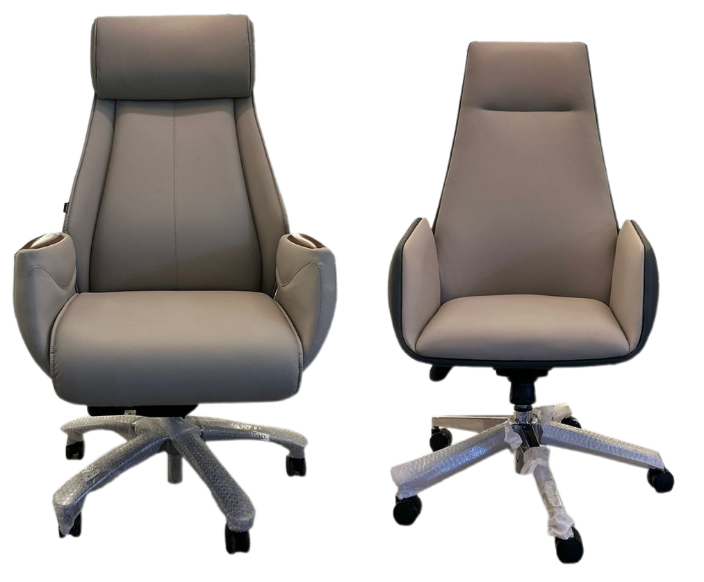 Executive Chair Model No: TJ-1A Model No: S613-1A